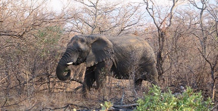 玩家滿意度調查