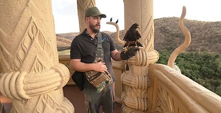 玩家滿意度調查