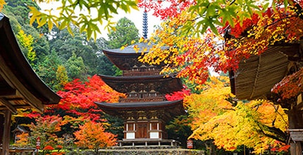 玩家滿意度調查