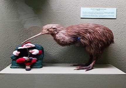 玩家滿意度調查