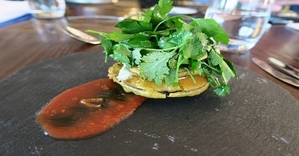 玩家滿意度調查