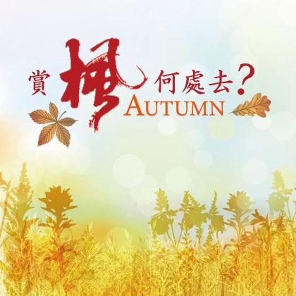 上順旅行社股份有限公司