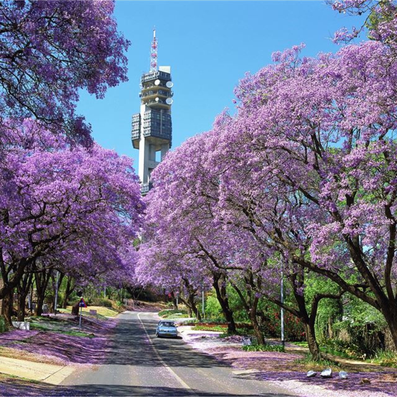 上順旅行社股份有限公司